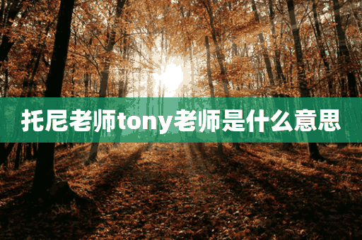 托尼老师tony老师是什么意思